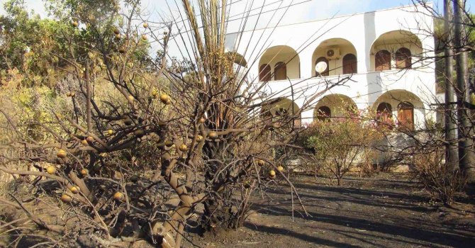 Mersin’deki orman yangınlarına müdahale sürüyor