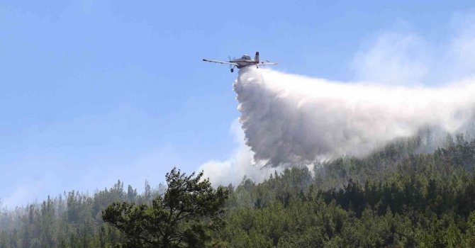 Alanya’daki orman yangını kontrol altına alındı