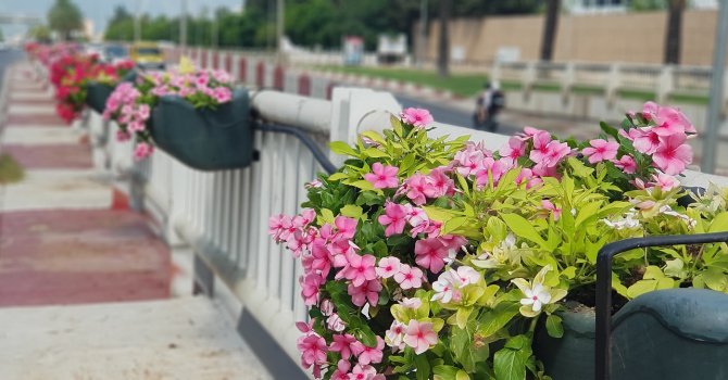 Büyükşehir Belediyesi kenti çiçeklerle donattı