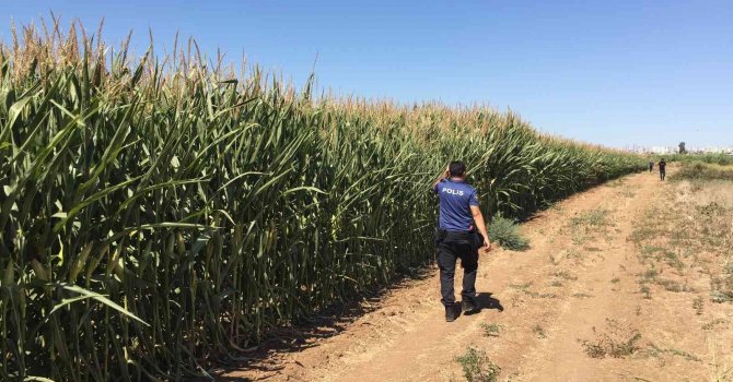 Polisin elinden kaçan hırsız yakalandı