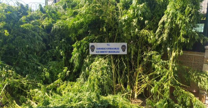 Hatay’da uyuşturucu operasyonları