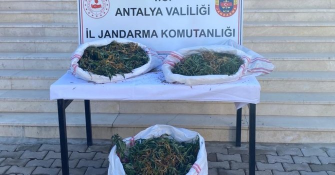 Sazlık alana gizlenen çuvaldan uyuşturucu çıktı