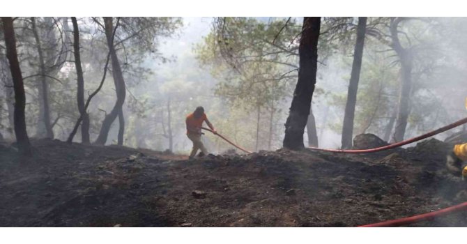 Antalya’da çıkan orman yangını kontrol altına alındı