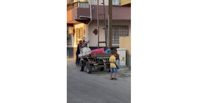 Yürümek istemeyen ata yumruk atarak eziyet etti