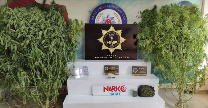 Hatay’da uyuşturucu operasyonu: 2 gözaltı