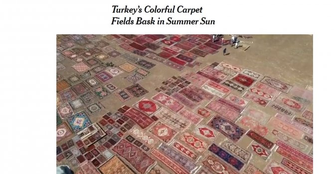 Döşemealtı’nın halı tarlaları dünya basınında