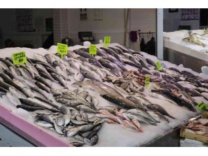 Antalya’da av sezonun açılmasıyla balıklar tezgahlardaki yerini aldı