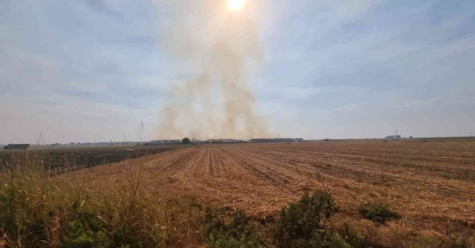 25 bin ton mısır sapı balyası kül oldu