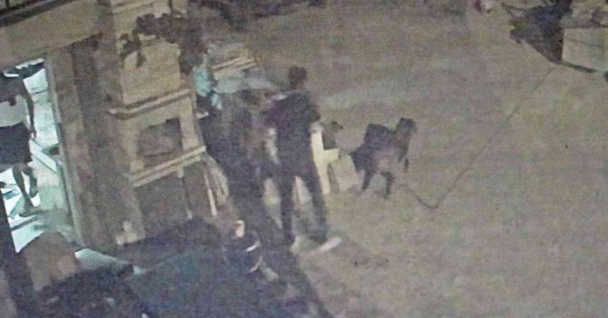 Antalya’da akıl almaz olay, tartıştığı arkadaşına sinirlenip aynı ismi taşıyan köpeği vurdu