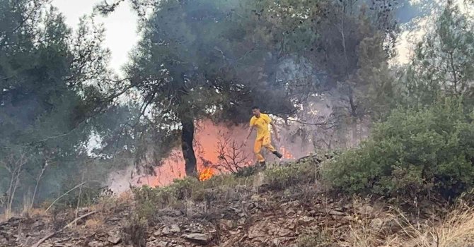 Hatay’da ormanlık alanda çıkan yangın evlere sıçramadan söndürüldü