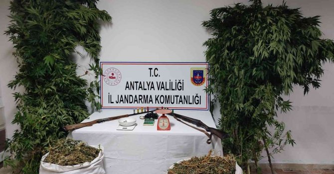 Kumluca’da 10 kilo kubar esrar ve 232 kök Hint keneviri ele geçirildi