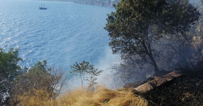 Falezlerde çalılık yangını