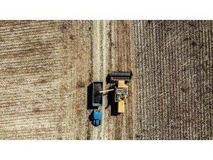 Çaykenarı Mahallesi’nde ayçiçeği hasadı sevinci