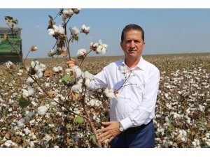 Doğan: "Pamuk üretimi desteklenmeli"
