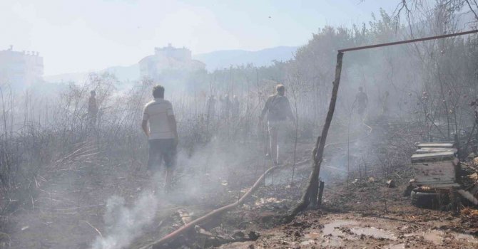 Otluk alanda çıkan yangın portakal ağaçları ve arı kovanlarını yaktı
