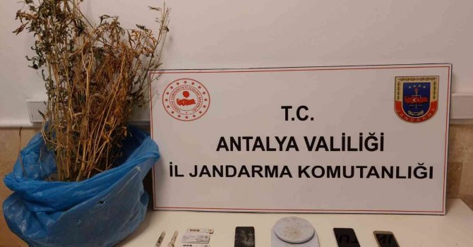 Kaş’ta 350 gram kubar esrar ele geçirildi