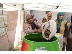 Ceviz soyma makinesi üreticinin yüzünü güldürüyor