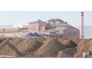 Gölhisar’da şeker pancarı hasatı başladı