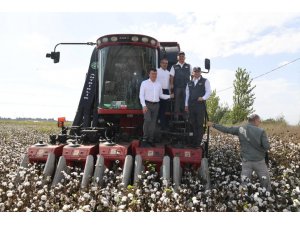 Antalya’da ilk pamuk hasatı