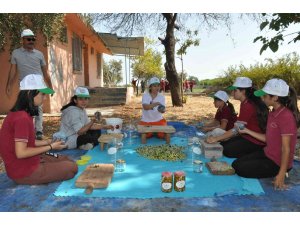 Topladıkları zeytinleri salamura yapan öğrenciler satıp okullarına katkı sunacak