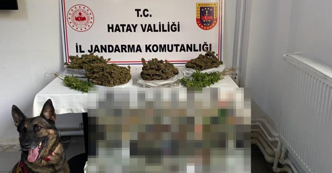 Hatay’da derin dondurucudan uyuşturucu çıktı