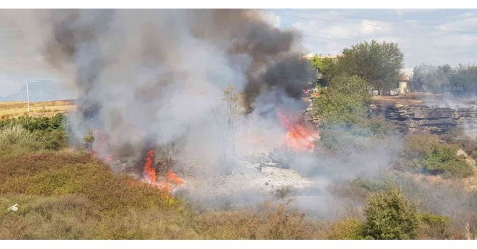 Antalya’da makilik alanda yangın