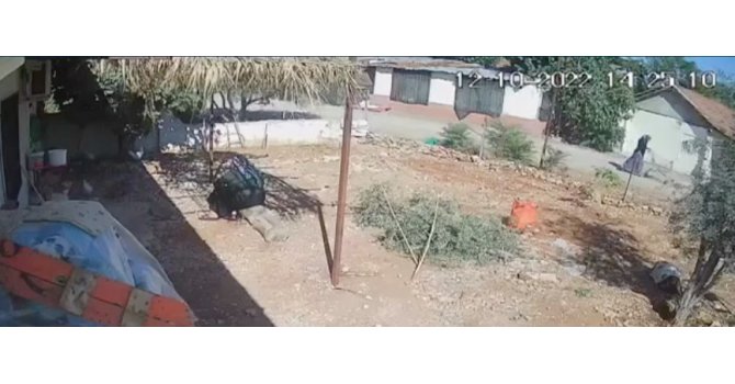 Sokak ortasında öldürülen yaşlı kadının ölmeden önce son görüntüleri ortaya çıktı