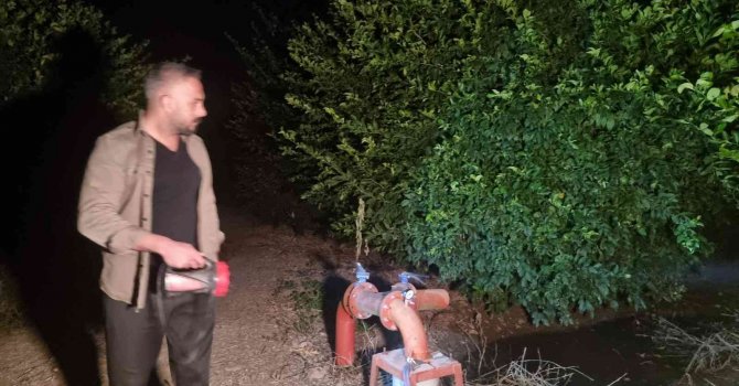 Limon bahçesinde gece gündüz hırsızlık nöbeti