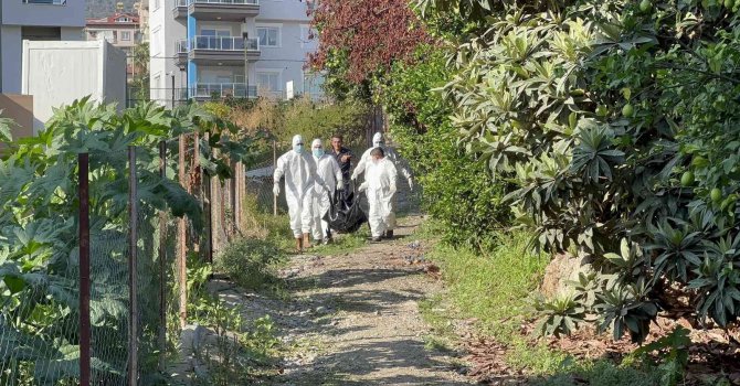 Naranciye bahçesinde erkek cesedi bulundu