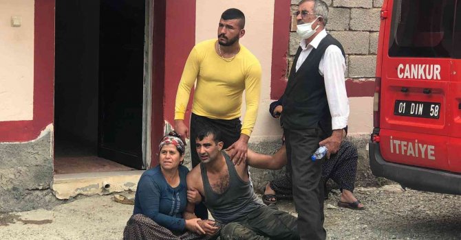 Küçük Nazgül, foseptik çukurunda can verdi