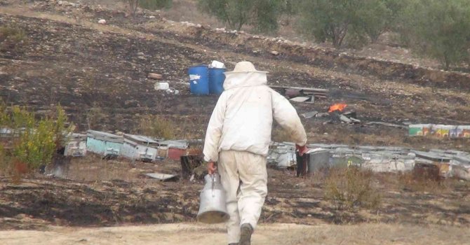 Antalya’da arı kovanları alev alev yandı