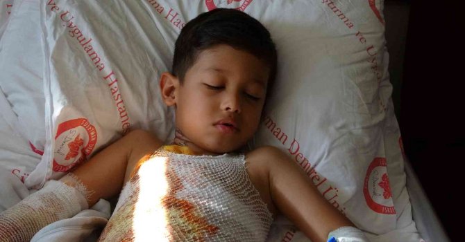 İlkokulda küçük Mehmet Ali’yi yakan turşu etkinliği