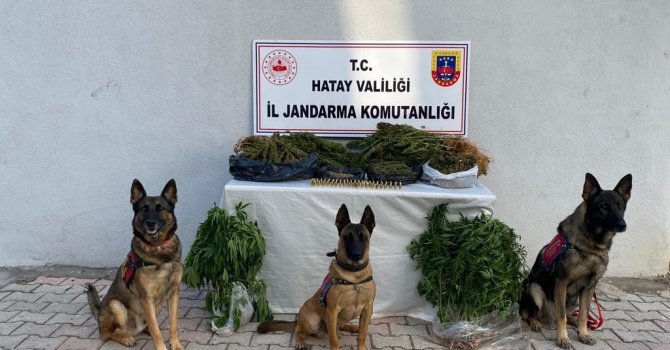 Hatay’da uyuşturucu operasyonunda 4 kişi gözaltına alındı