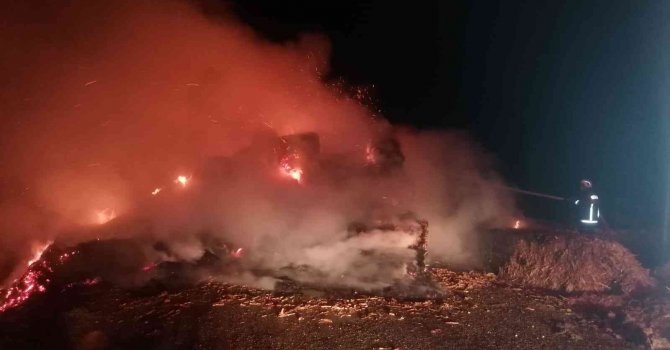 Saman yüklü tır alev alev yandı