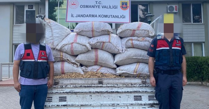 Fıstık hırsızları jandarmadan kaçamadı