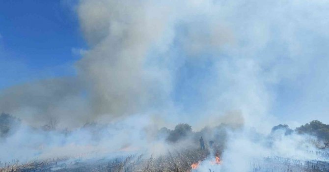 Antalya’da anız yangını itfaiye ekiplerine zor anlar yaşattı