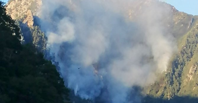 Sarp arazide çıkan orman yangınını söndürme çalışmaları sürüyor