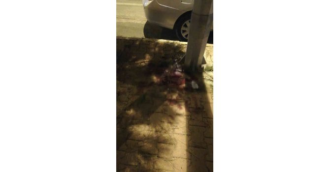 İki liseli gencin ölümüne neden olan scooter faciasında, otomobil sürücüsü tutuklandı