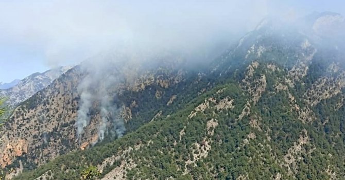 Sarp arazide çıkan orman yangınını kontrol altına alma çalışmaları sürüyor