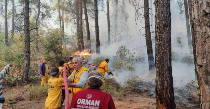 Bucak’ta çıkan orman yangını büyümeden kontrol altına alındı