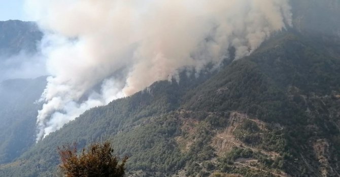 Osmaniye’deki orman yangını 3’ncü gününde büyüyerek devam ediyor