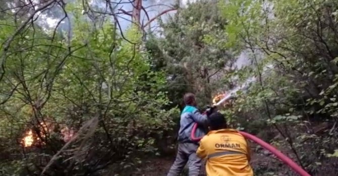 Osmaniye’deki orman yangınına karadan müdahale başladı