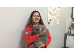 Evcil hayvanlara getirilen çip zorunluluğu uygulanmaya başlandı