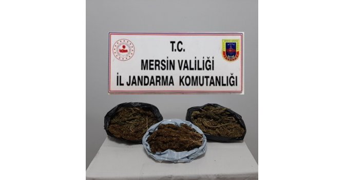 Mersin’de 10 kilo 248 gram skunk ele geçirildi