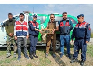 Ağ düzeneğiyle saka kuşu avlayan şahsa 29 bin 627 lira ceza kesildi