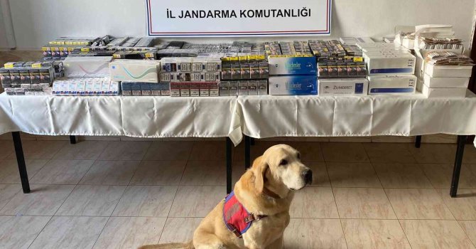 Hatay’da 11 bin 140 paket kaçak sigara ele geçirildi