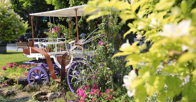 Faytonlar Antalya’yı süslüyor