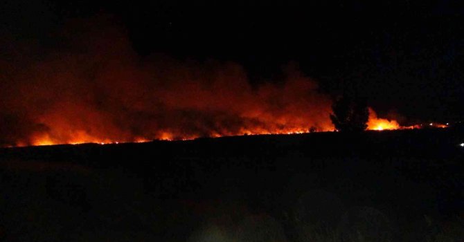 Uluslararası koruma altında bulunan Göksu Deltası’nda yangın