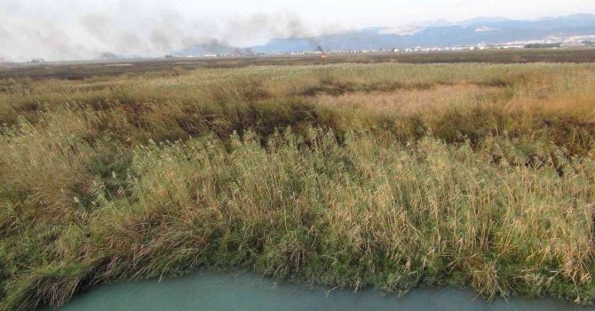 Göksu Deltası’ndaki yangın kendiliğinden söndü