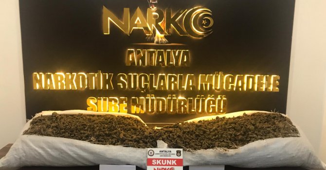 Döşemealtı'nda skunk operasyonu